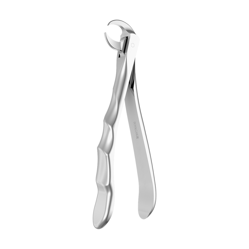 Extracting Forcep Extracting Forcep